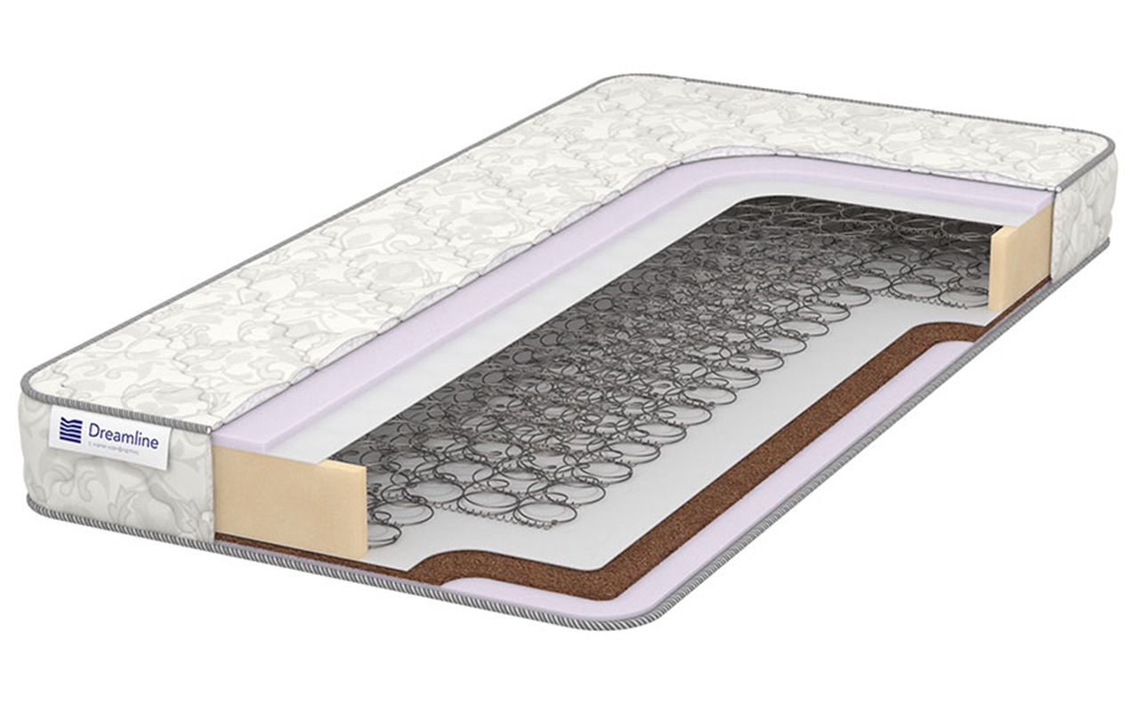 DreamLine Easy Norma BS